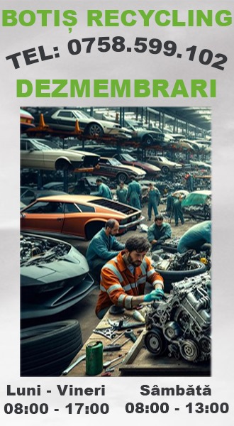 Piese Auto SM Botis